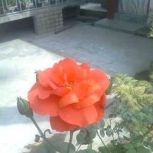 Meet your Posher, Pranati